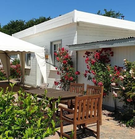 Ferienbungalow Haus Am Teich Boltenhagen  Esterno foto