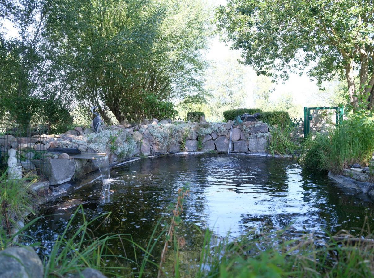 Ferienbungalow Haus Am Teich Boltenhagen  Esterno foto